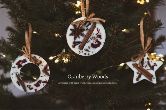 Holiday Wax Ornaments